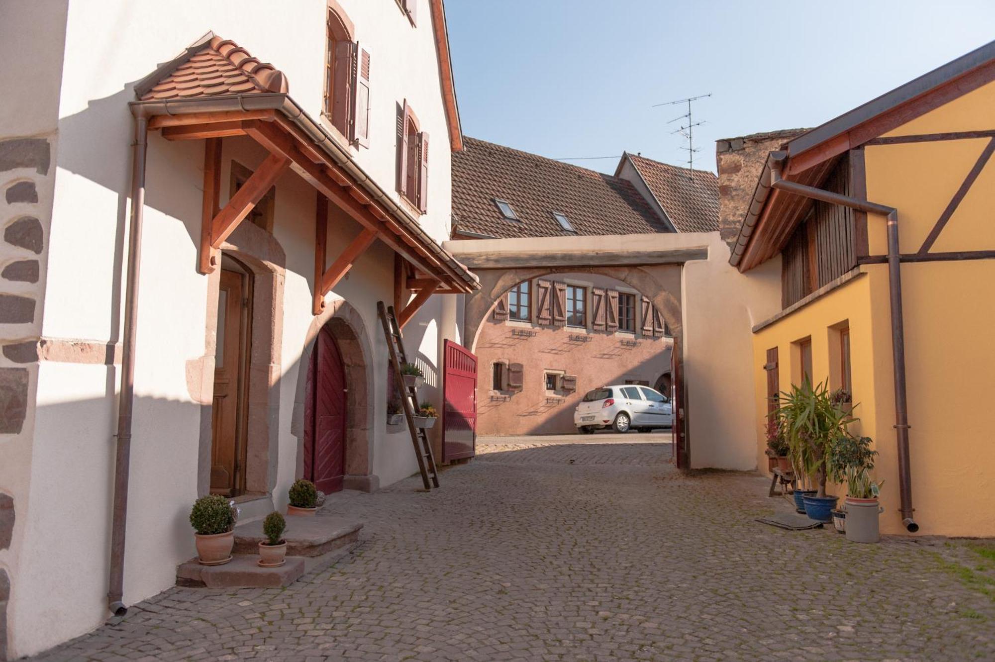 Hotel La Maison D'Emilie Pfaffenheim Esterno foto